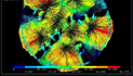 Bottomhole flow field vector